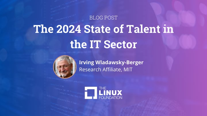 The 2024 State of Talent in the IT Sector